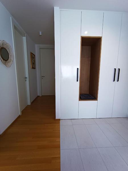 Teal Apartment-free Garage Parking Apartment