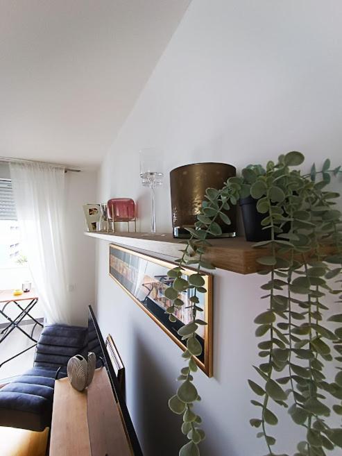 Teal Apartment-free Garage Parking Apartment